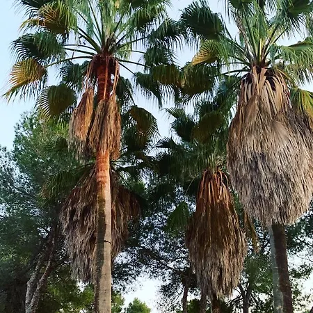 Frühstückspension Campo De Golf Ibiza- Roca Lisa Santa Eulària des Riu