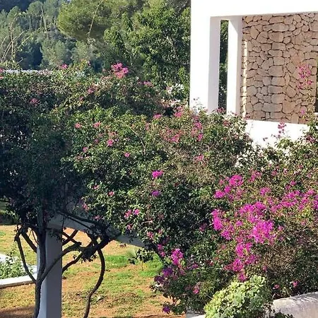 Frühstückspension Campo De Golf Ibiza- Roca Lisa *